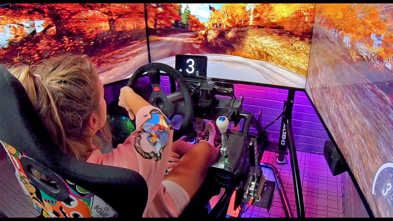 Rally Driver's Car Settings for Dirt Rally 2.0