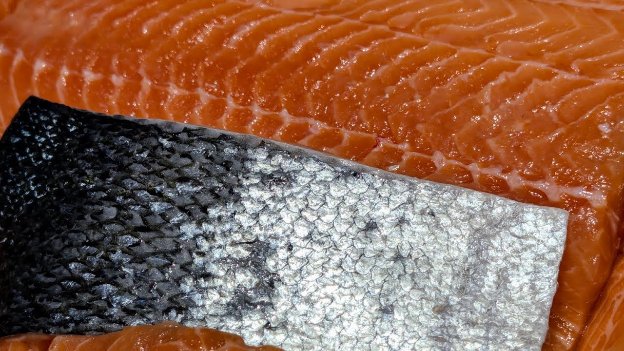 How to trim and portion D-trim Salmon sides. (Part 2 of 4) Master Fishmonger Standard.
