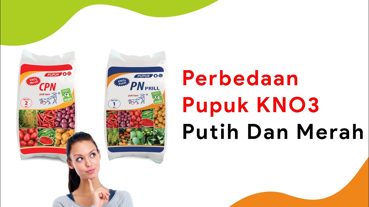 Perbedaan Pupuk KNO3 Putih & Merah