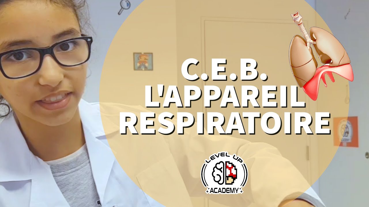 L'APPAREIL RESPIRATOIRE - CEB