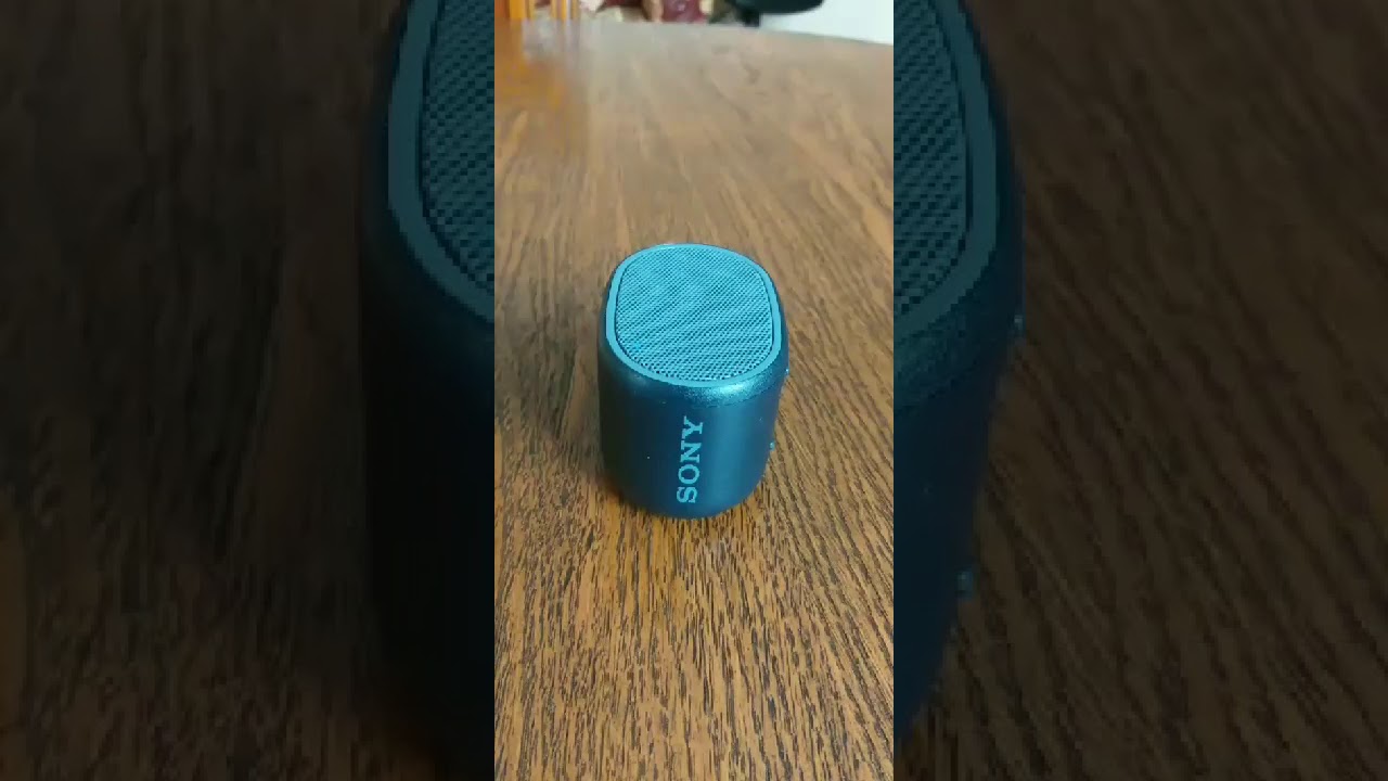 Sony srs-xb01