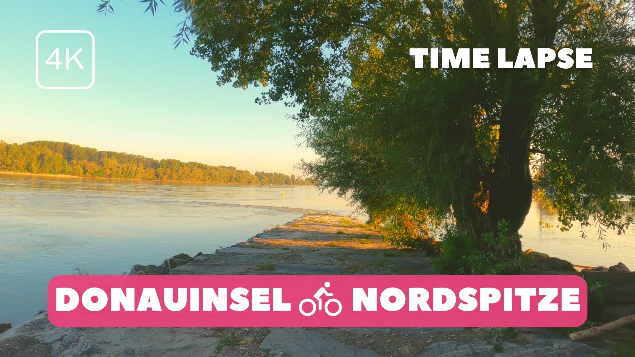 To the Northern Tip of the Danube Island | Vienna Bike Ride