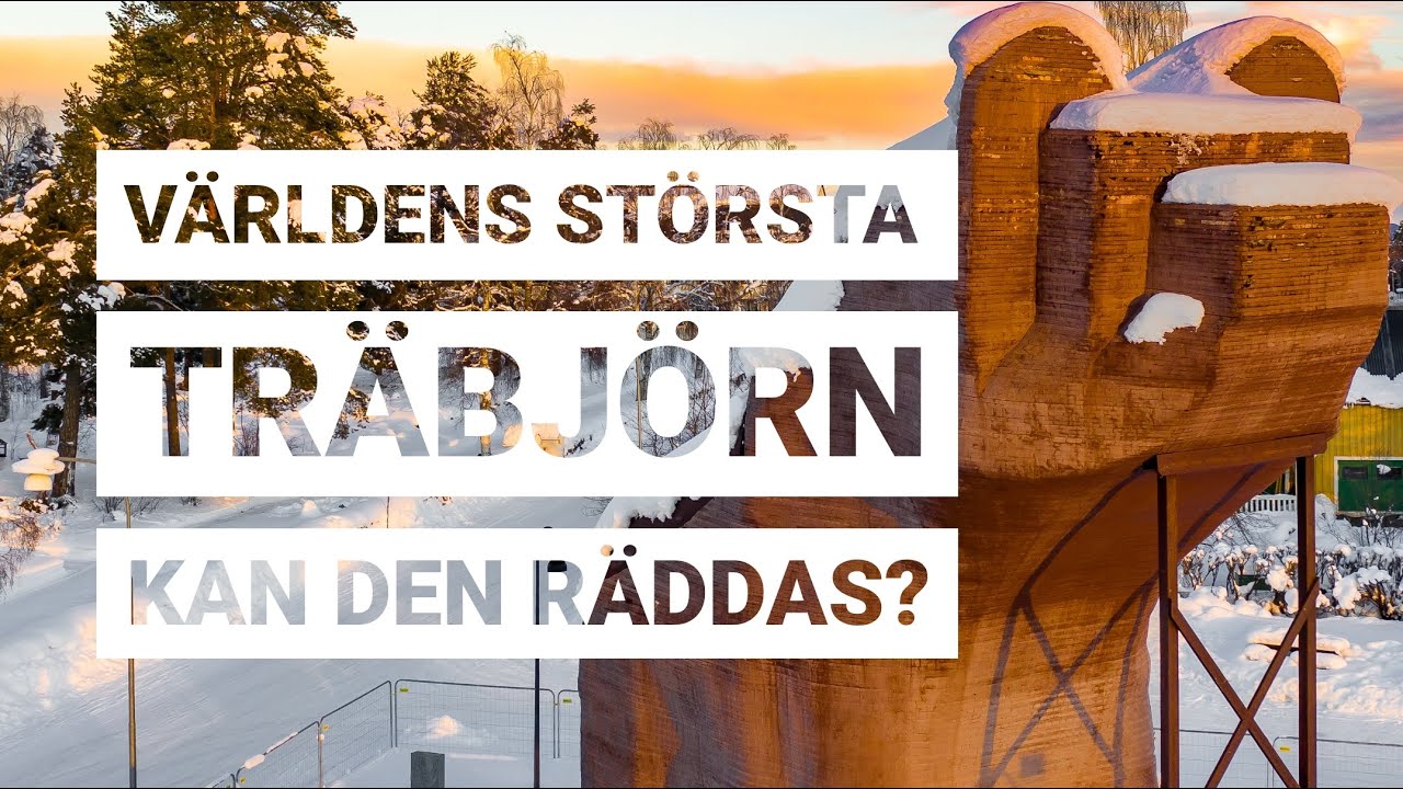 Världens största träbjörn i Sveg i Härjedalen – Kan den räddas från rivning?