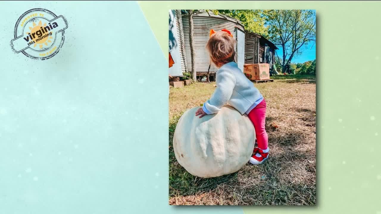 Top 6 Picks: Pumpkin Patches in Central Virginia
