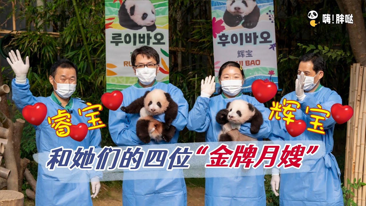 爱宝的四位金牌月嫂，睿宝辉宝的超级保姆：中国奶爸王平峰、新人阿姨胜熙以及老员工姜宝宋宝