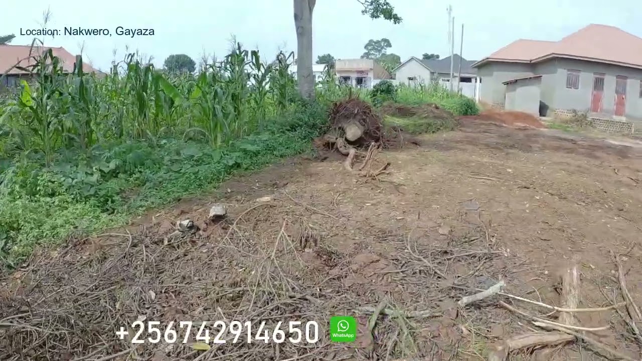 Nakwero Gayaza Plot 50x100 selling at 55m, 10metres frm main road