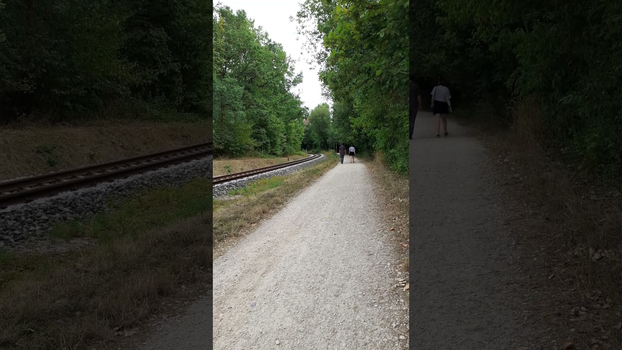 BR 648 driving past with Lighthorn