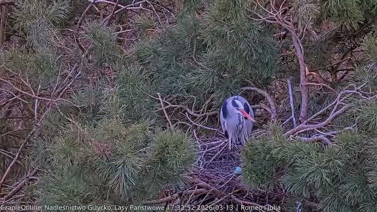 Pierwsze jajo 😊🥚