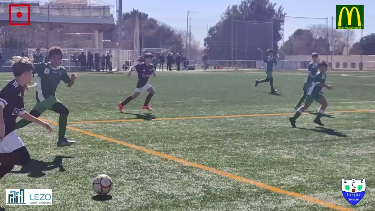 ADC Parque Sureste Alevín F11 