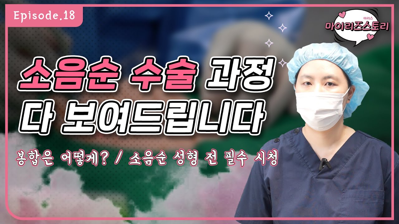 마이리즈스토리 Ep18 (소음순 수술 전 필수 시청 / 소음순 수술 과정 / 수술실 모습 / 봉합 방법)
