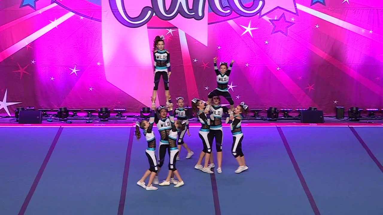 Wild All Stars Flawless Phoenix   Junior X Small 2