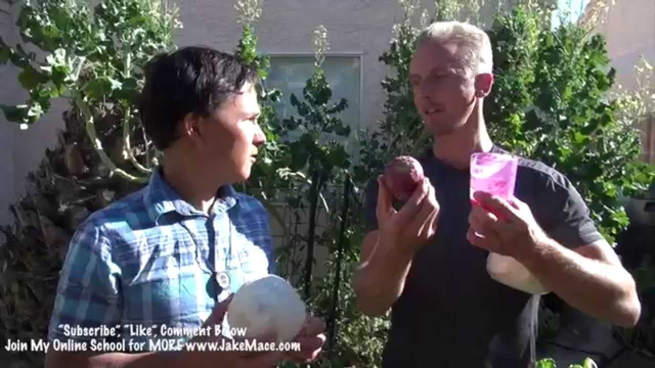 5 Super Foods All Martial Artists & Athletes MUST EAT