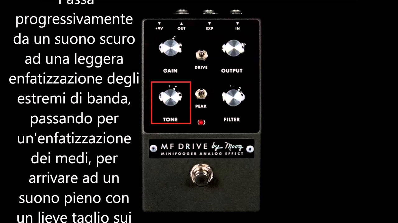 Moog Minifooger - MF DRIVE