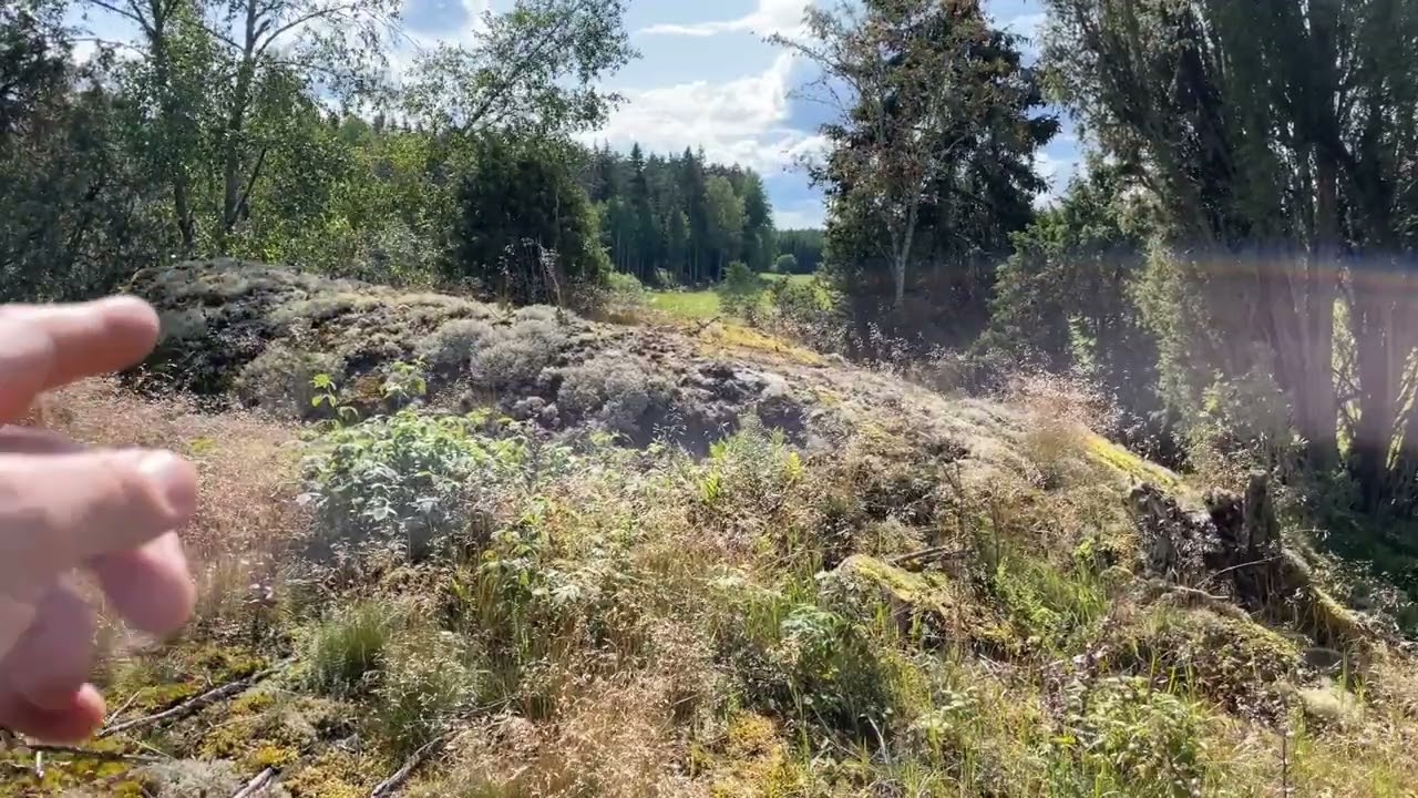 Rundhäll och isräfflor på drygt en minut! Geologen Mange Magister!