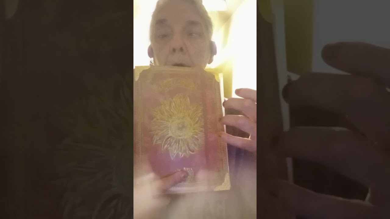 Cosplay prop traveller's journal