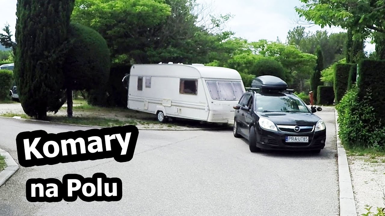 Komary, Mrówki i Motyle w Przyczepie Kempingowej (Vlog #153)