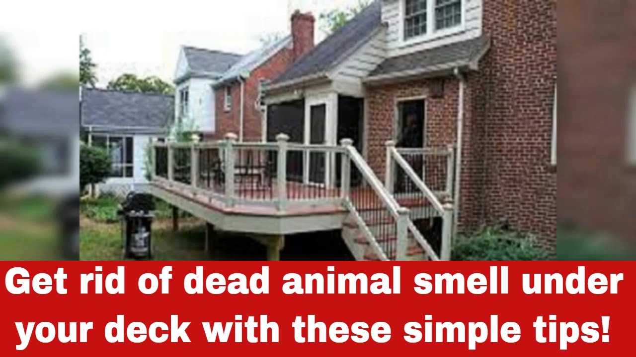 How To Get Rid Of Dead Animal Smell Under Your Deck [Detailed Guide]