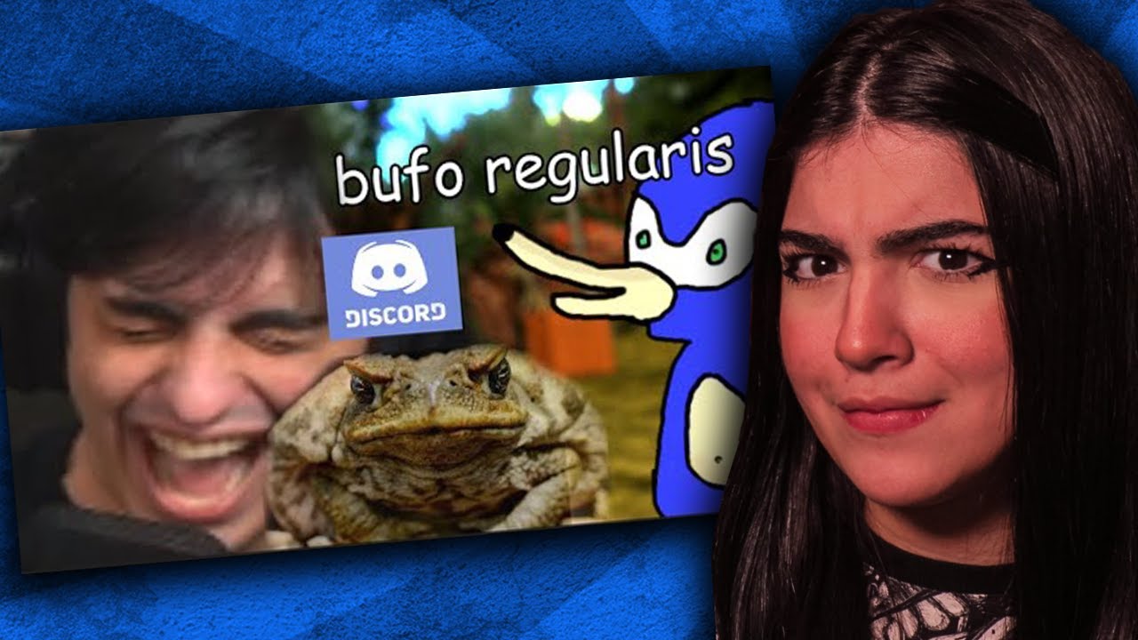 TROTE DO BUFOS REGULARIS - OROCHINHO [REACT]