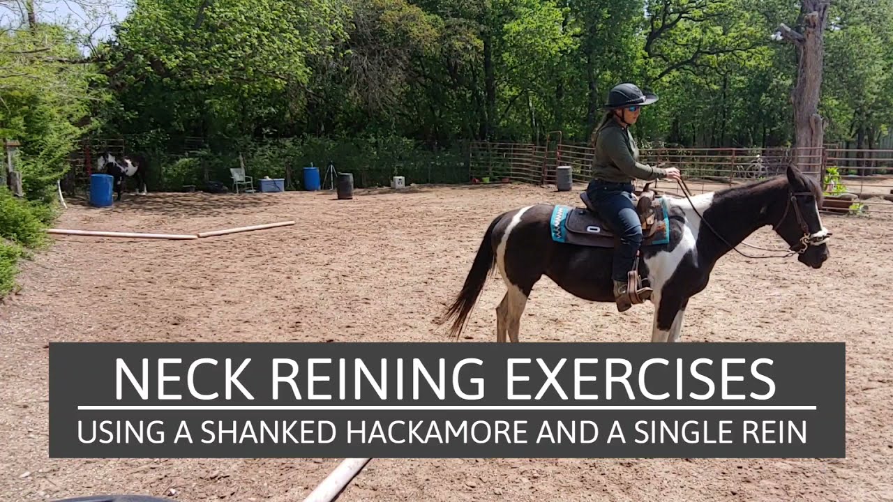 Beginning Neck reining exercises - Using leg cues, a shanked hackamore and a single rein