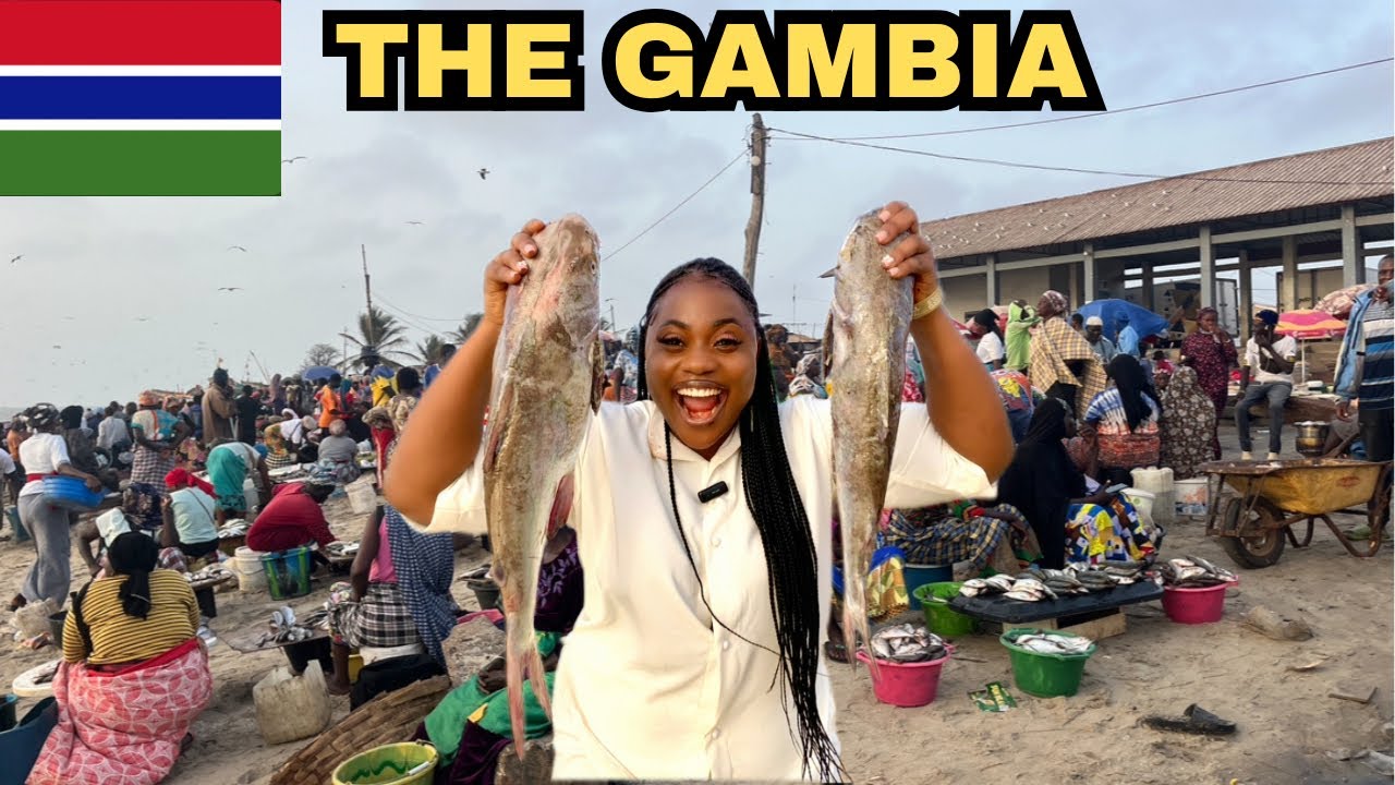Exploring the Gambia biggest fish market ,Africa hidden fishing gem (mind blowing) 🇬🇲