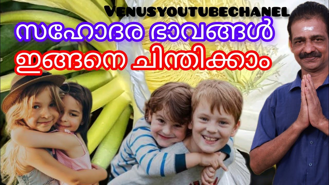 സഹോദര ഭാവങ്ങൾ/@VENUSYOUTUBECHANEL #astrologymalayalam #jyothisham #bhavagal#siblings