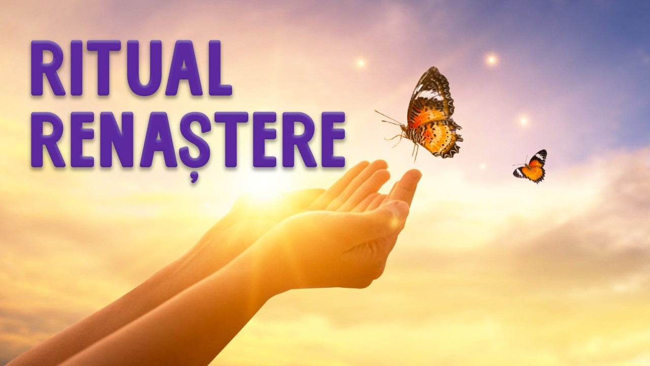 Meditație renaștere