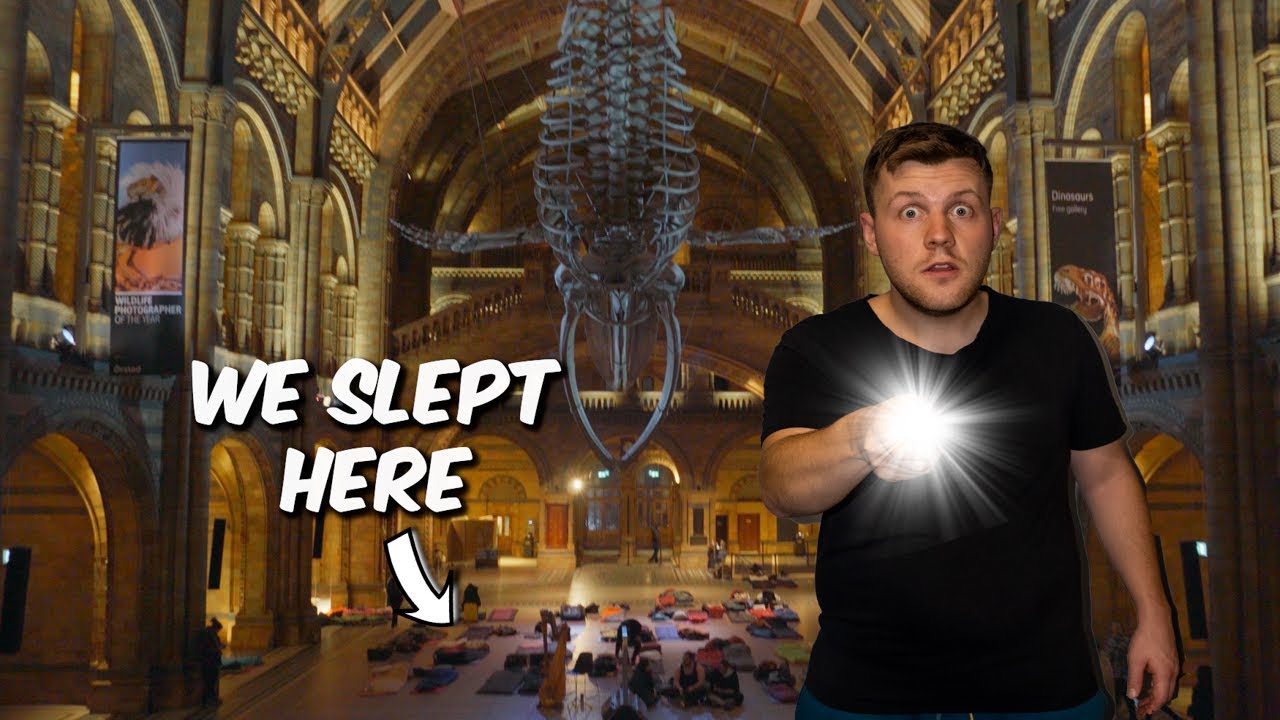 We Had A Sleepover At The Natural History Museum