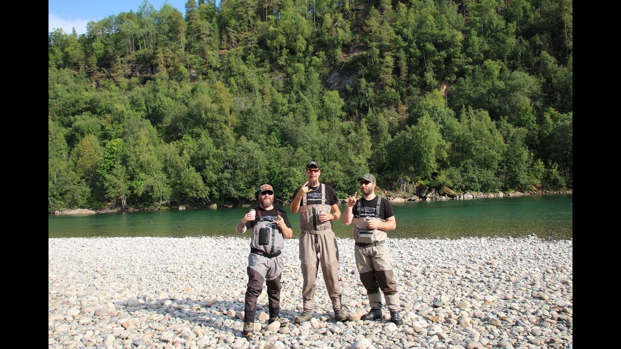 Fly fishing in river Saltdalselva 2019 Norway