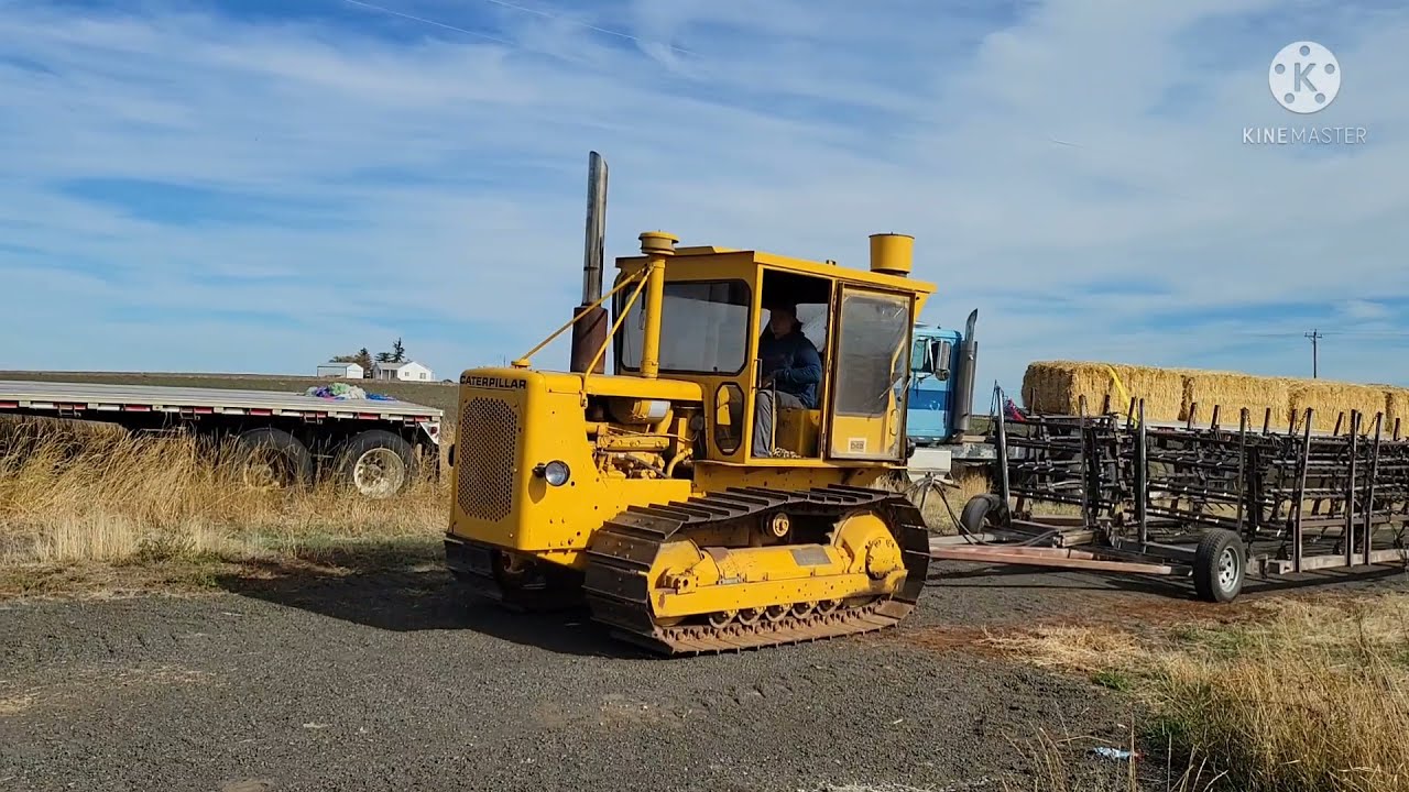 D4D Caterpillar