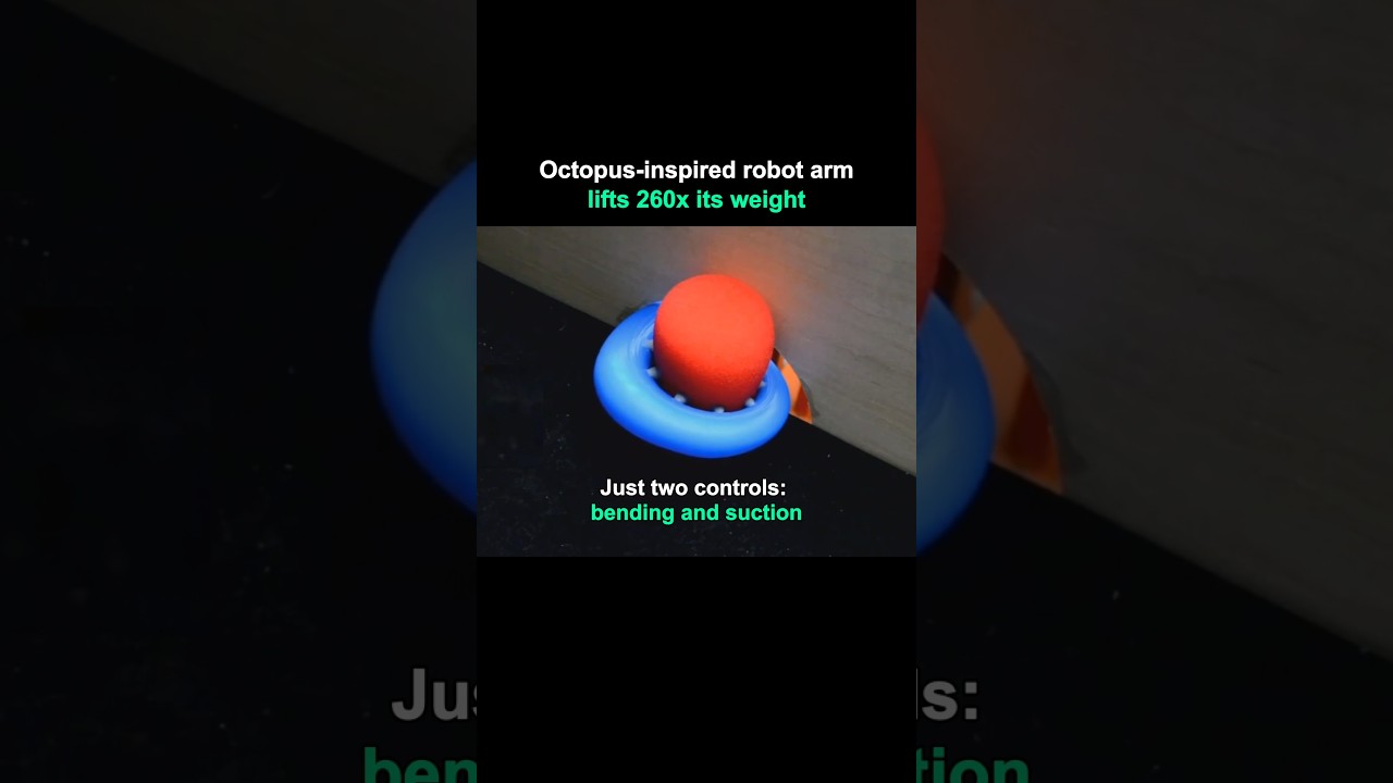 This Silicone Robot Arm Mimics Octopus Tentacles and Lifts 260x Times Its Weight