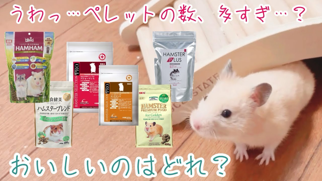 ハムスターのペレット紹介の様子をお届けします
