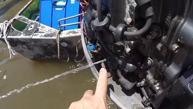 No water from outboard tell-tale