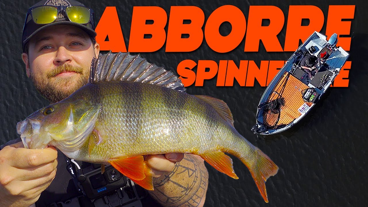 ABBORRFISKE I SENSOMMARVÄRMEN! - Mothugget med Alex