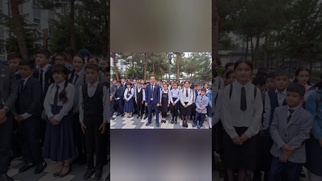 9.03-sinf o‘quvchisi Umaraliyeva Zeboning 