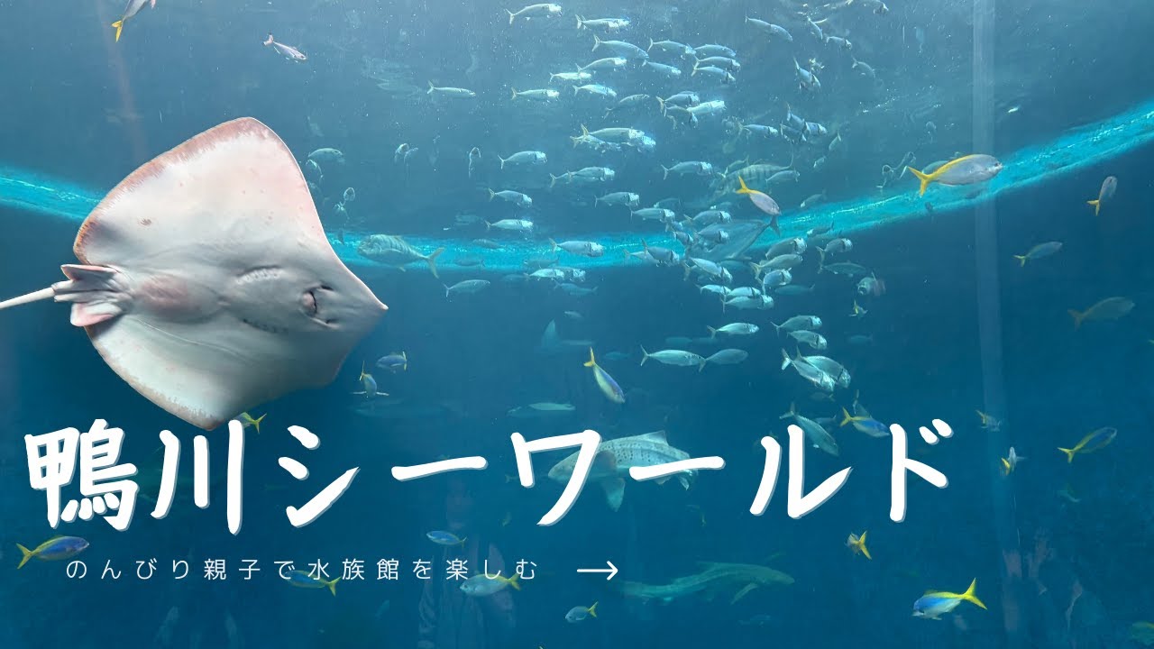 【千葉県】鴨川シーワールドに行ってきた【水族館】