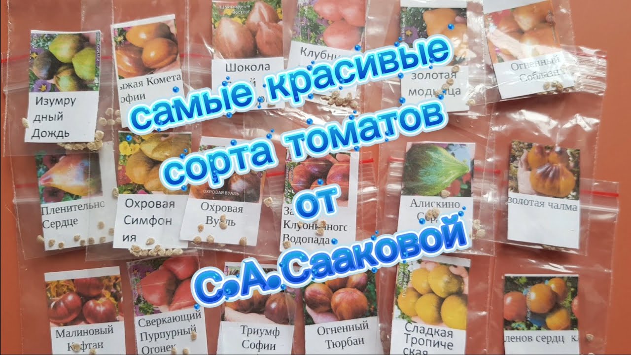 Долгожданная посылка от С.А. Сааковой👍🍅👌 #дача # семена #томаты
