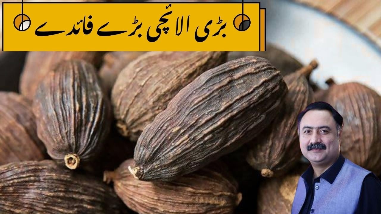 Black Cardamom (Bari Elaichi Ke Barey Fayde) بڑی الائچی