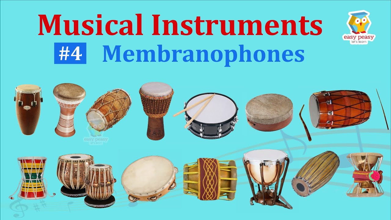 Membranophones: Musical Instruments, Pictures & Sounds | Ethnographic Classification | Music