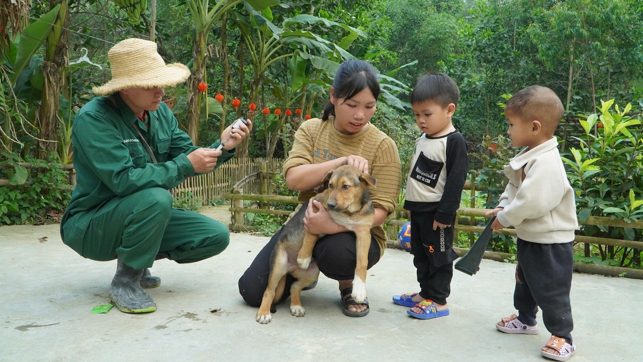 Construction begins on the new livestock farm - the veterinarian arrives to treat the sick dogs.