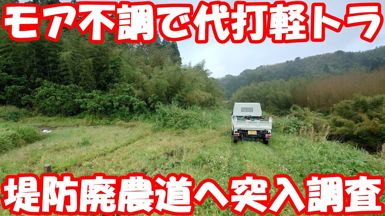 4WD軽トラで堤防廃農道アタック。#開拓 #keitruck