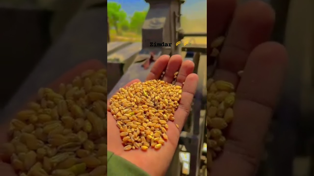 farmer life status ❤️ kisan whatsapp status 🙏 farmer whatsapp status video