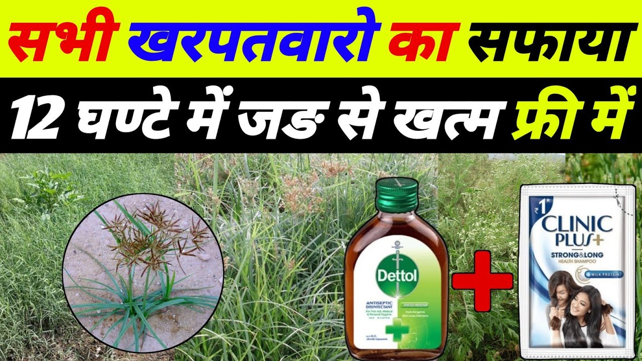 अब खरपतवार होगी जङ से खत्म | kharpatwar nashak dawa ka naam | kharpatwar ko jad se kaise khatam kare