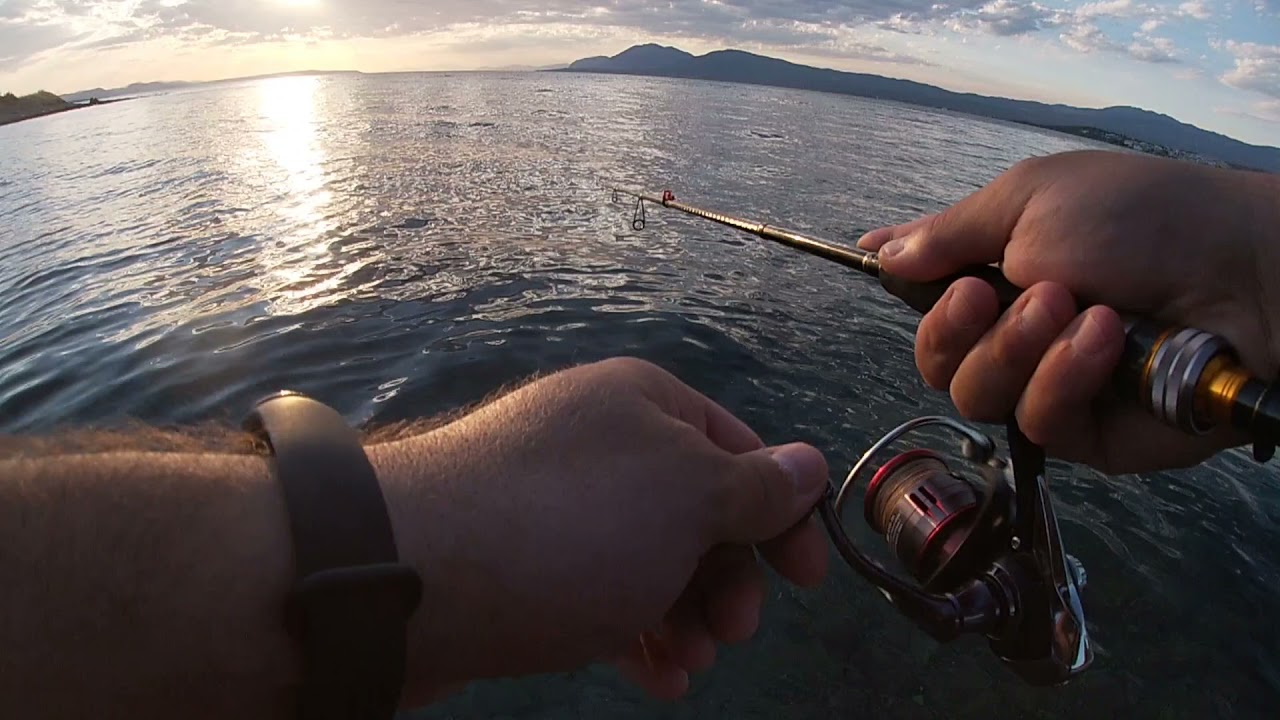 Σπάροι και άλλα, λρφ με τεχνητό - LRF FISHING GREECE