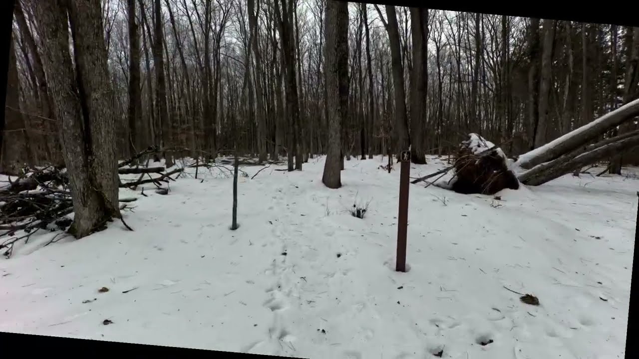 Northwest Trail - January