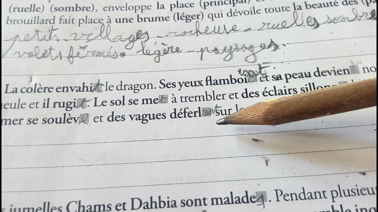orthographe. les accords