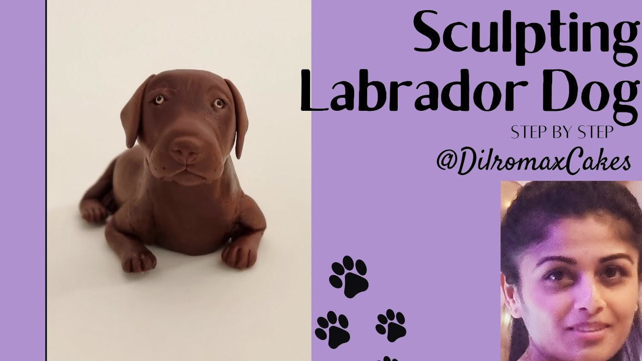 Sculpting Labrador Dog/ fondant cake topper/ Dog topper/ how to make a dog topper #cake