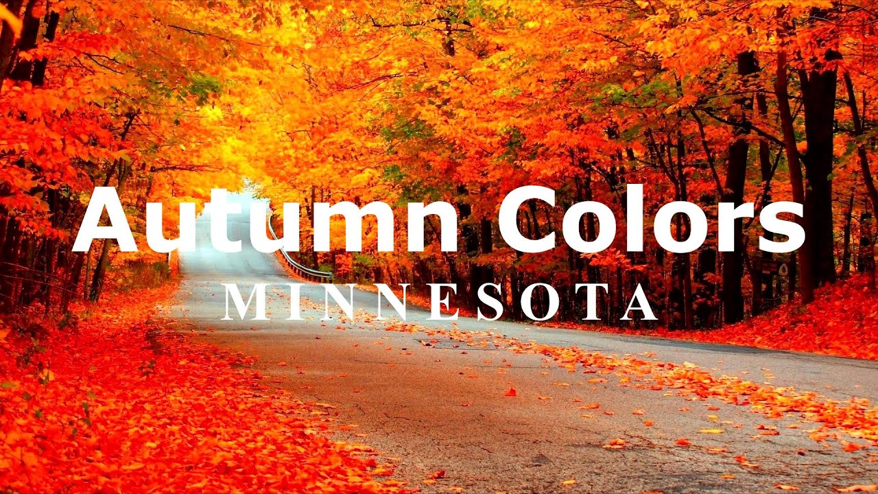 WOODBURY, Minnesota 🇺🇸 Road Trip 4K - Autumn Colors Driving Tour