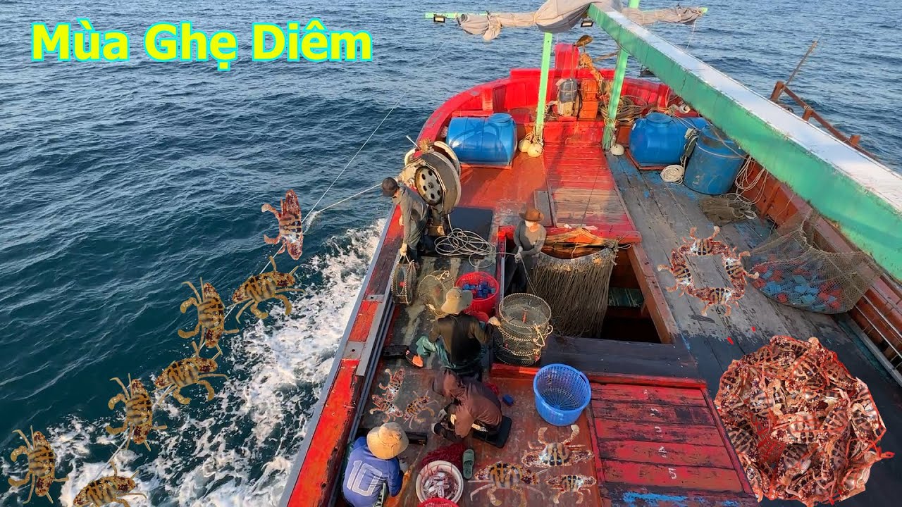 Nghề rập ghẹ bắt đầu chiến đấu với mùa ghẹ diêm - Dân Biển