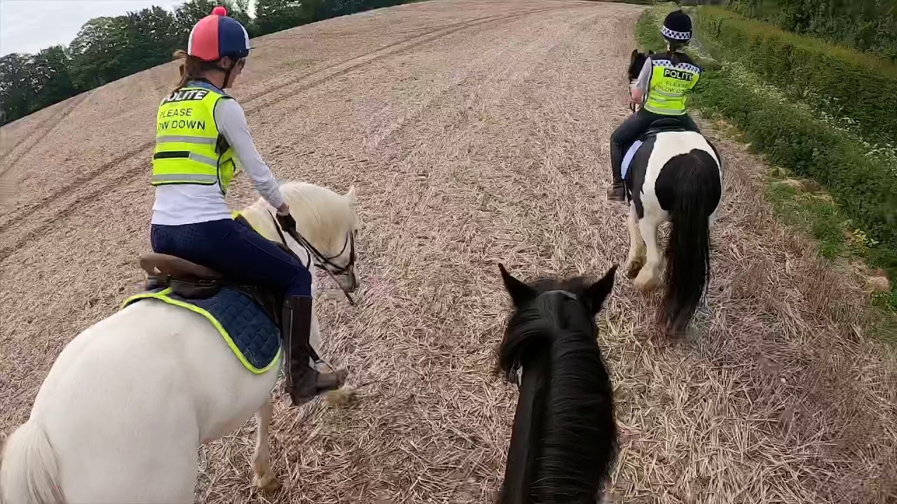 Adventure Hack  |  GOPRO  |  Emme Equestrian