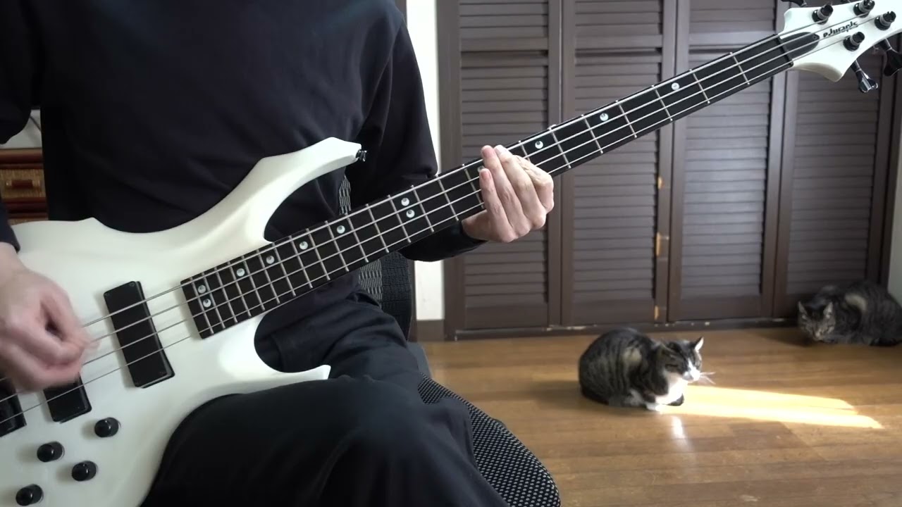 WITH SEXY 孤独の中で愛した君 Bass cover